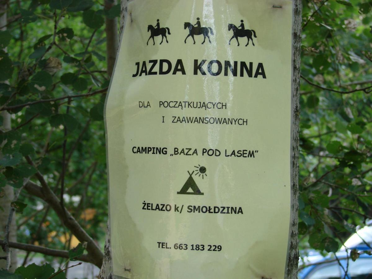 Agroturystyka Pod Kogutkiem Czysta Екстер'єр фото