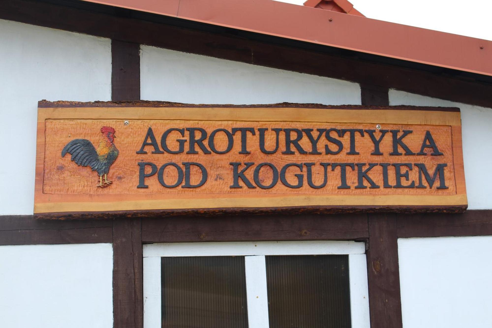 Agroturystyka Pod Kogutkiem Czysta Екстер'єр фото